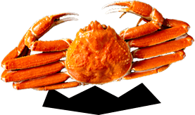 蟹